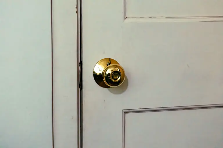 White door featuring a shiny brass knob, ideal for home interior design themes.