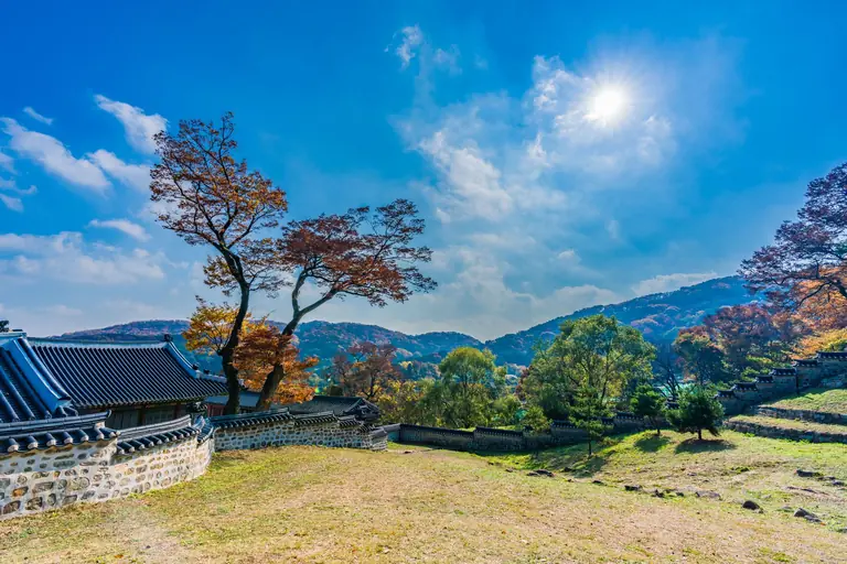 Capture the essence of autumn with vibrant fall foliage at Namhansanseong Fortress in Gwangju, South Korea.
