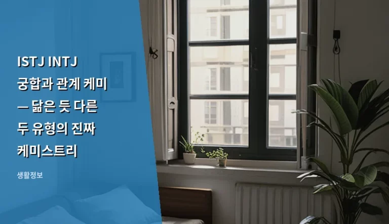 ISTJ INTJ 궁합과 관계 케미 — 닮은 듯 다른 두 유형의 진짜 케미스트리