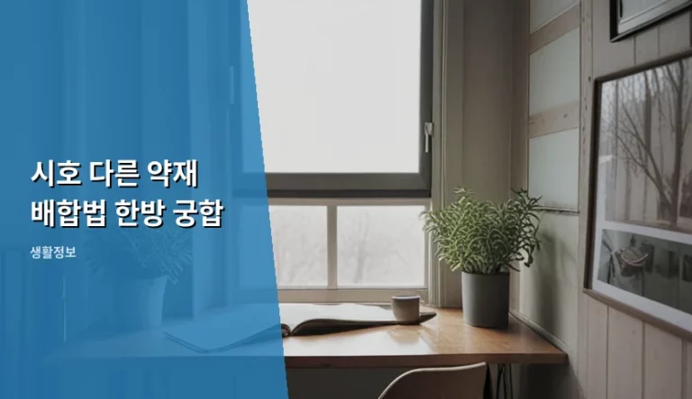 시호 다른 약재 배합법 한방 궁합과 올바른 복용 가이드