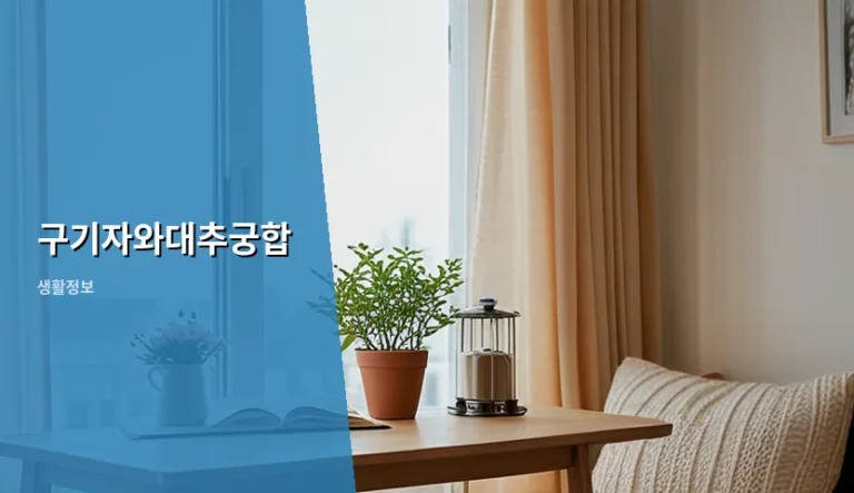 구기자와대추궁합 영양 성분과 올바른 섭취 방법