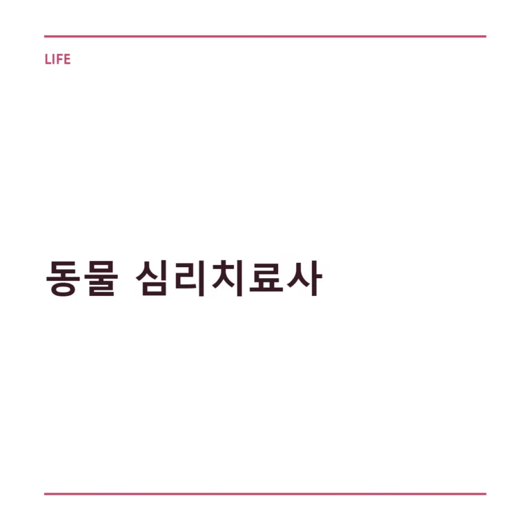 동물 심리치료사 되는 법과 자격증 취득 가이드