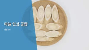 마늘 인삼 궁합의 과학적 근거와 건강한 섭취 방법